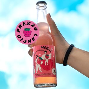 Mano che tiene una bottiglia di bevanda Mesh Pink ai frutti di bosco davanti a un cielo blu.