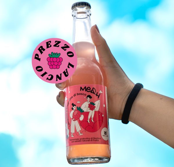 Mano che tiene una bottiglia di bevanda Mesh Pink ai frutti di bosco davanti a un cielo blu.